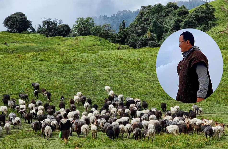 पढाइ स्नातकोत्तर, काम भेडा चराउने !